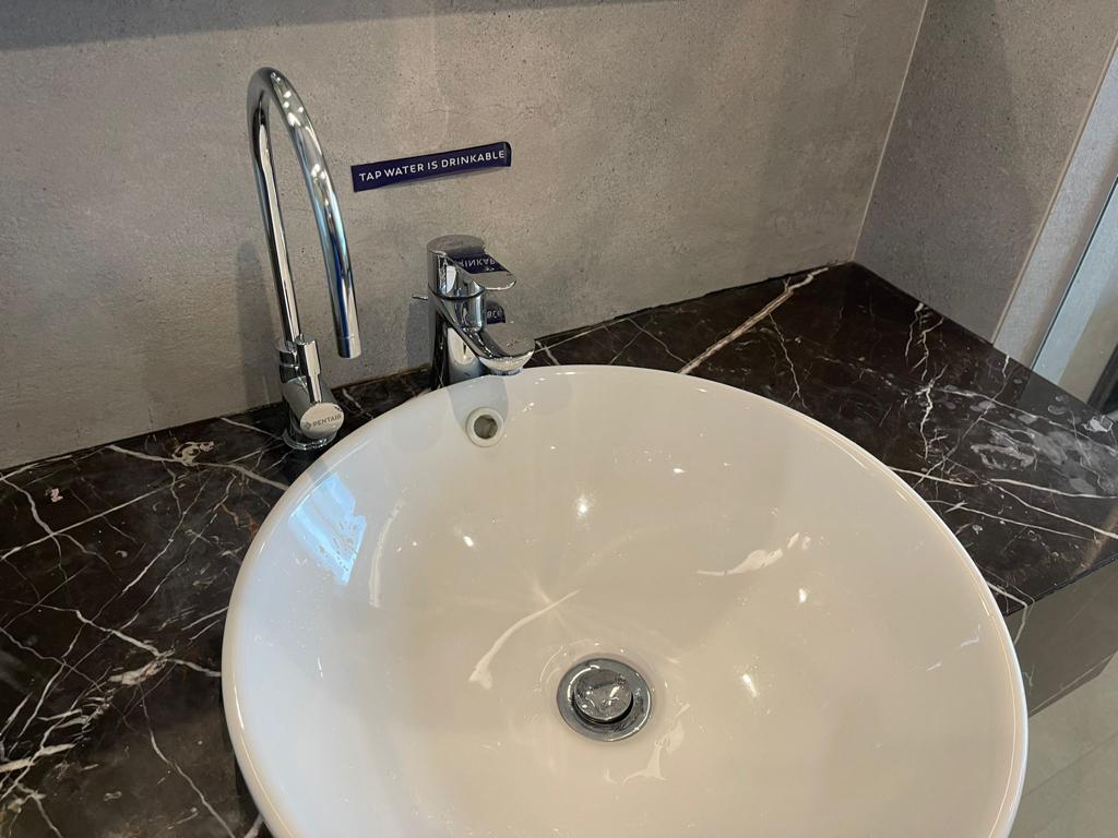 Pentair Everpure EV900090 Auxillary Faucet for Drinking Water, Chrome