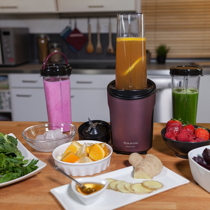 Taurus  Blender Shake away