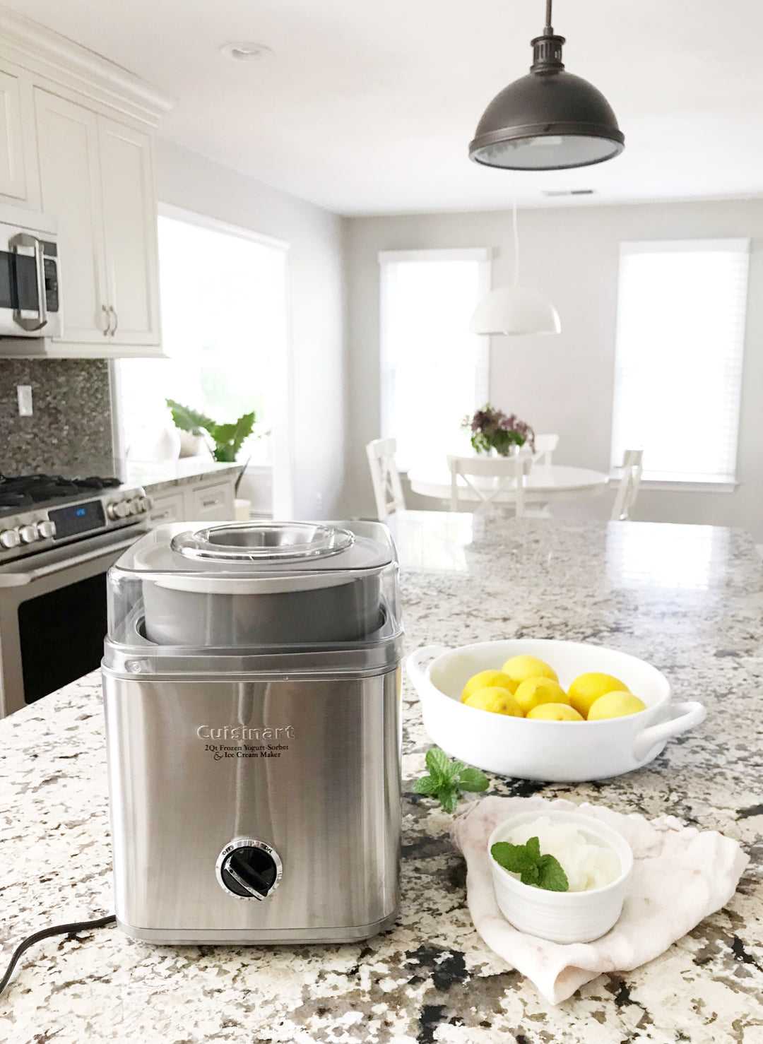 Frozen Yogurt Sorbet Cuisinart Ice Cream Maker Ingredients